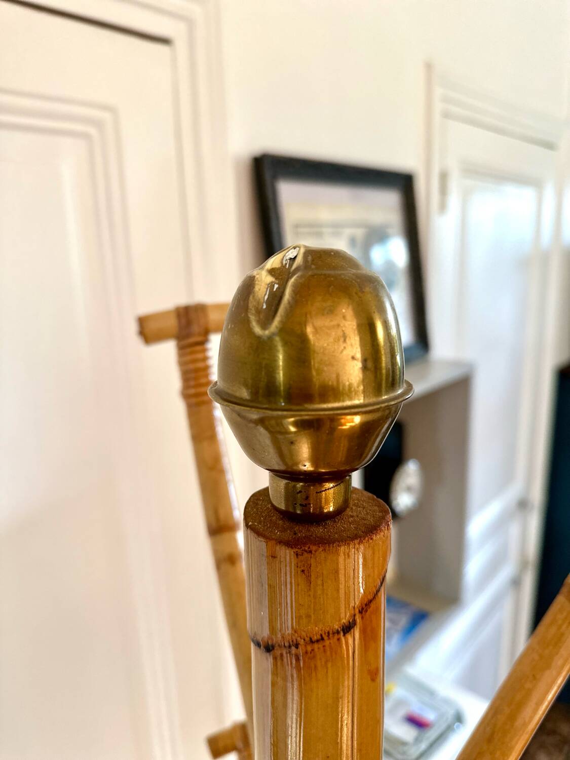 Vintage Rattan Parrot Coat Rack