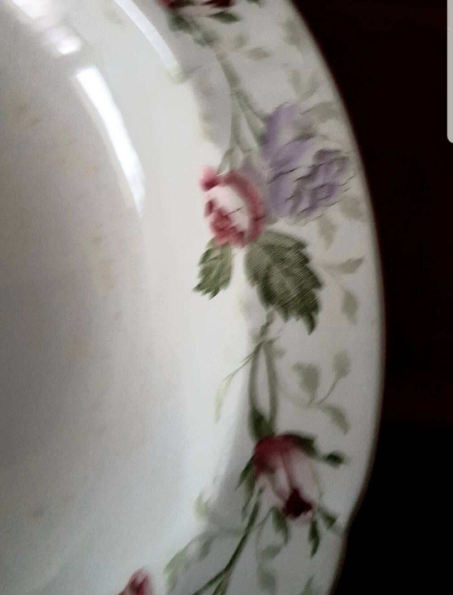 Old plate France Sarreguemines U&C