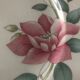 Porcelain plate service