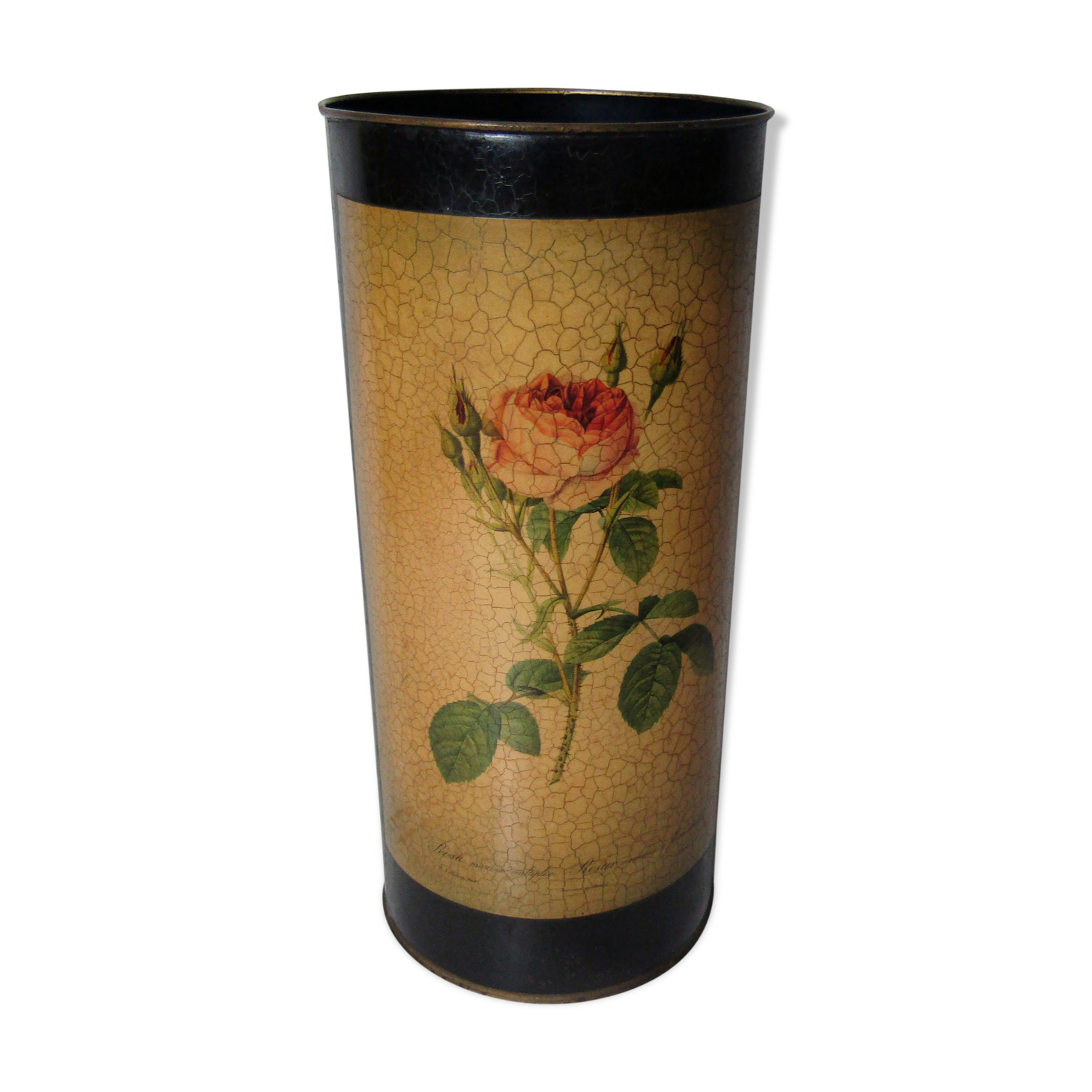 Former pink umbrella holder PJ Dreaded Vintage Botanical