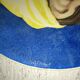 Montereau nineteenth earthenware dish