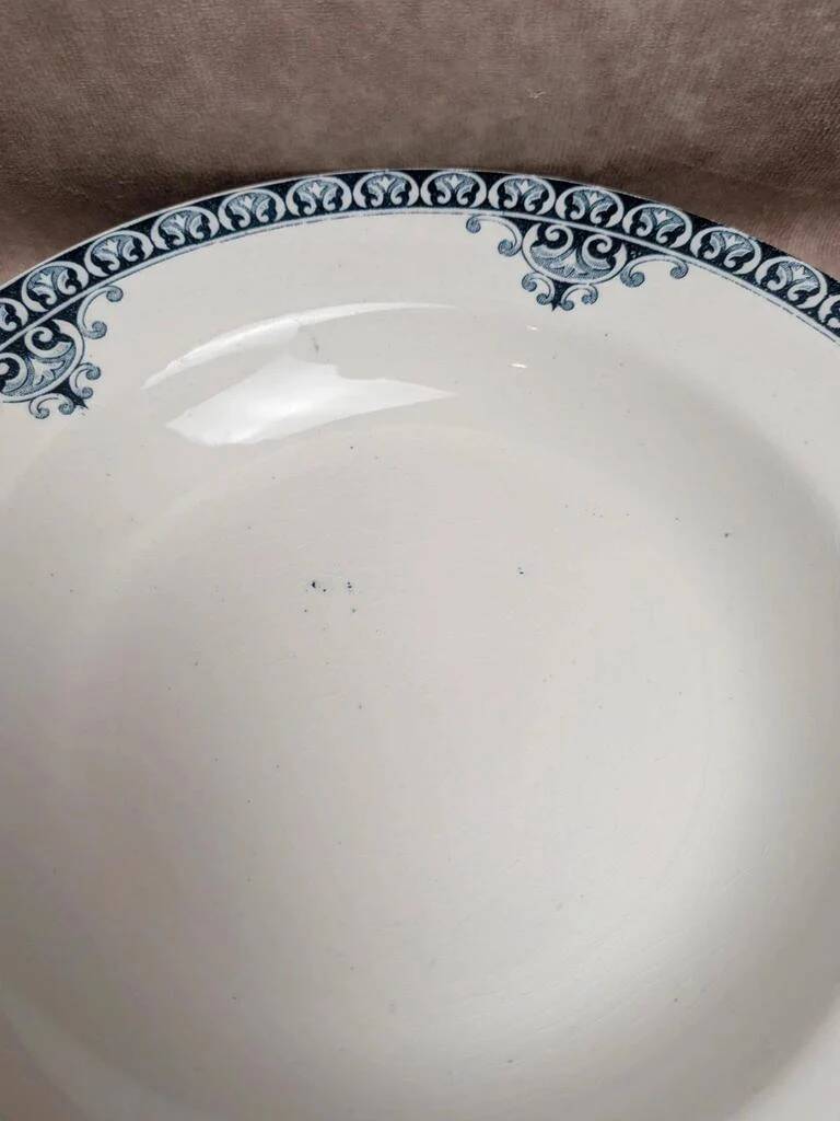 Set of 9 deep plates Terre de Fer St Amand model Andrinople