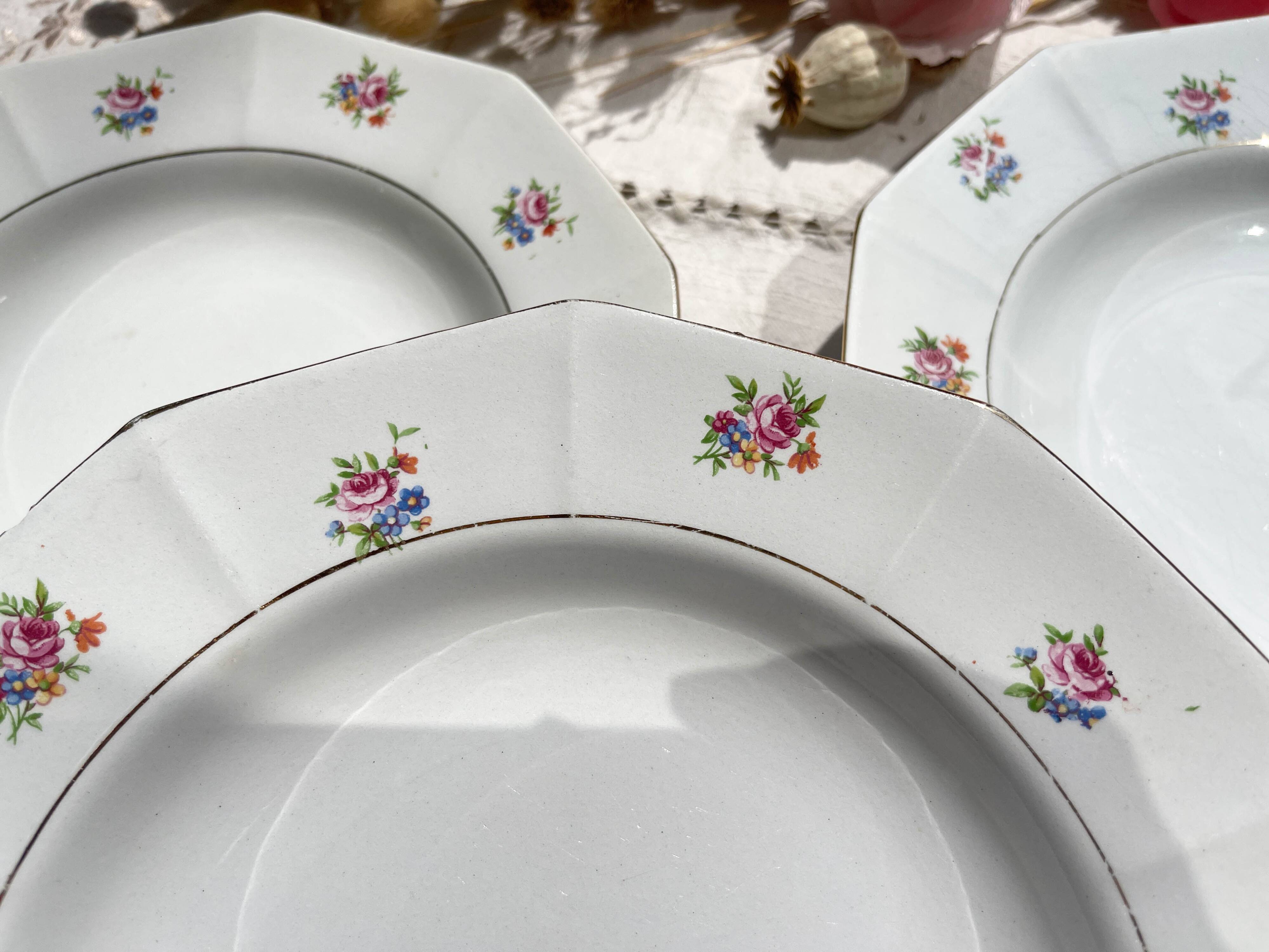 5 vintage hollow plates in opaque porcelain SALINS floral pattern