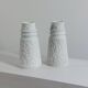 Paire de vases en porcelaine vintage de biscuits par KPM Bavaria