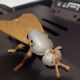 Ancien cendrier insecte en laiton dorée vintage cendrier mouche