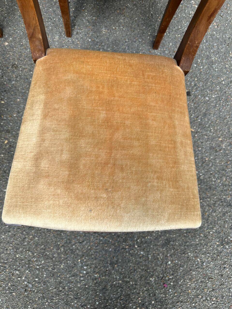 4 chaises de salle à manger en velours et bois massif, époque XIXème