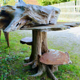Teak root sink