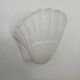 Pair of vintage shell wall lights, matte white plaster, France 1970