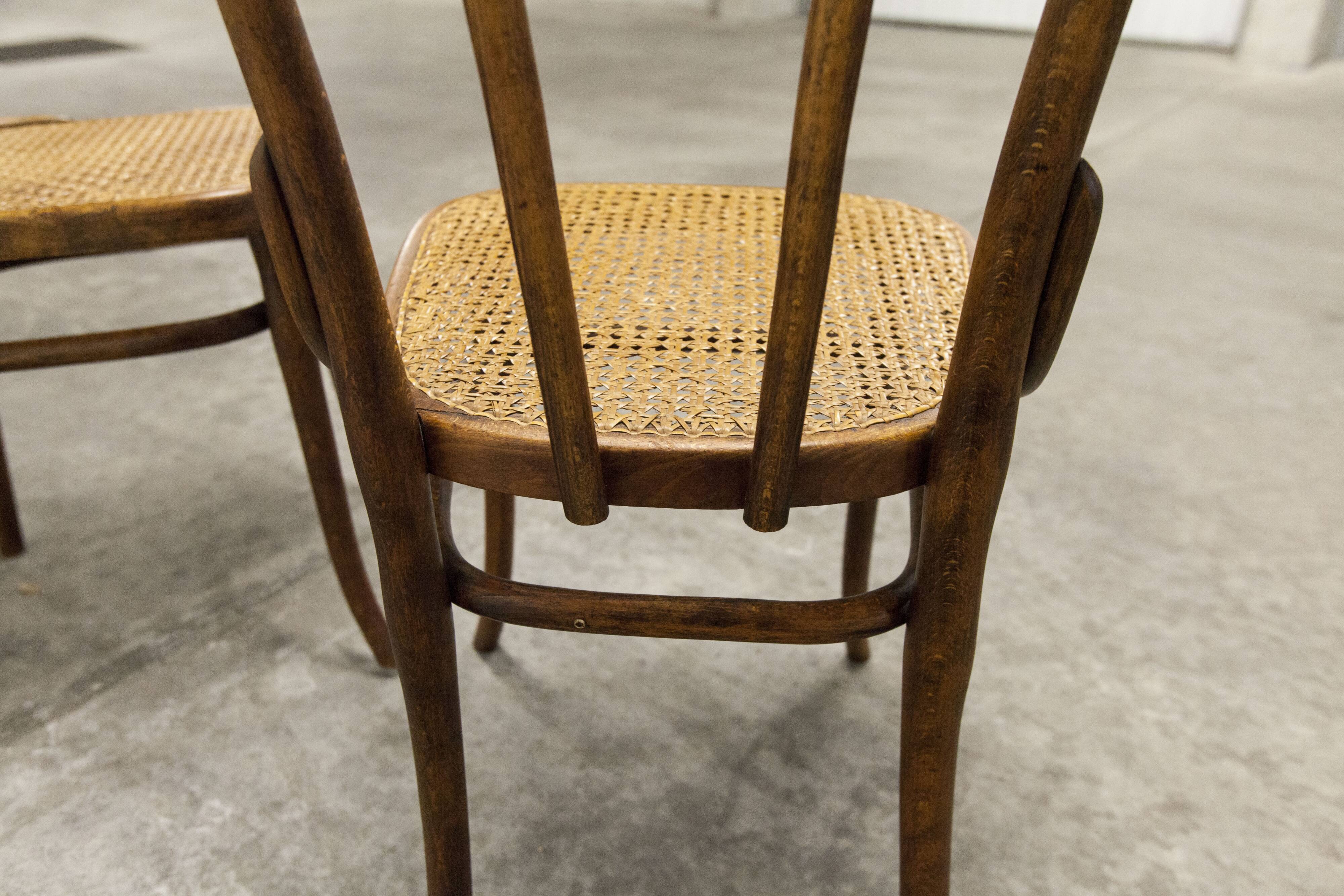 Pair of chairs bistrot Thonet Austria 1900 canning stamped