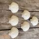 Lot de 6 coupelles coquillages en céramique