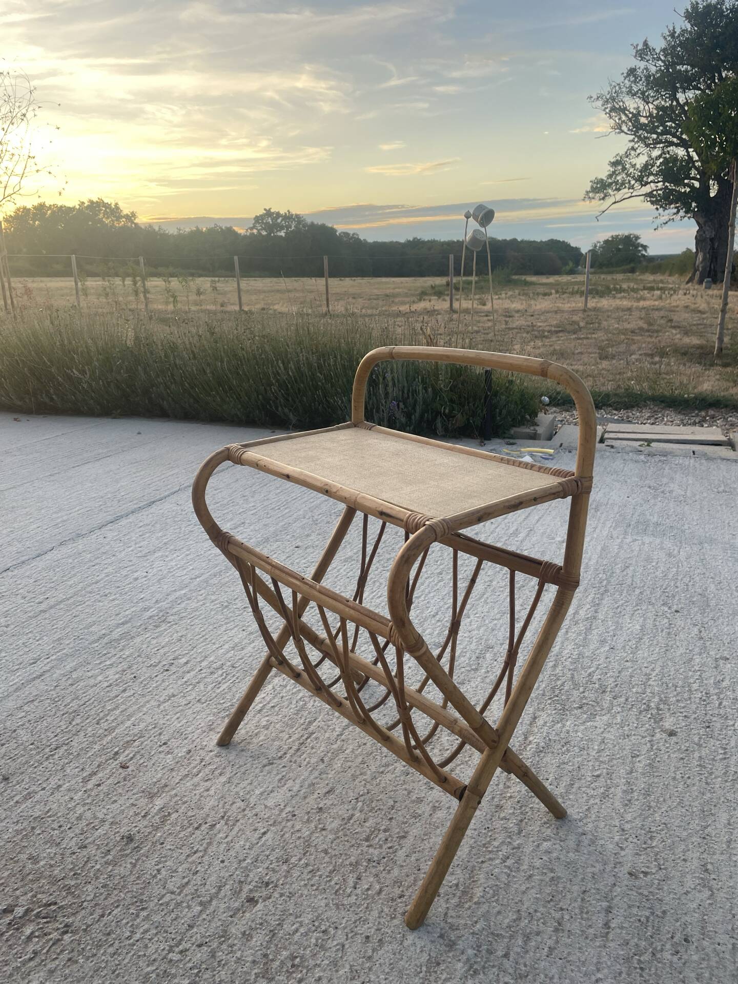 Vintage rattan side table with magazine rack