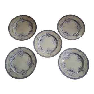 English earthenware dinner plates cm & s columbia decor