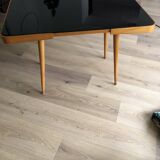 Jiri Jiroutek coffee table by Cesky Nabytok