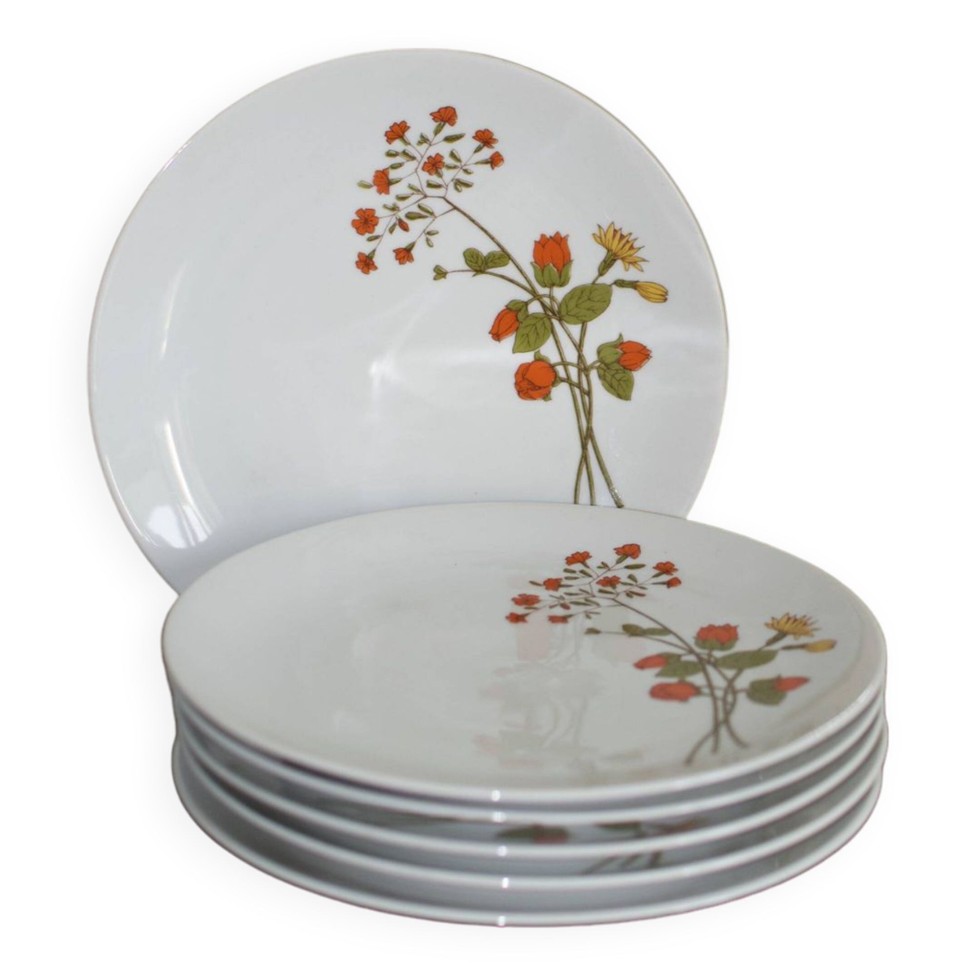 6 assiettes en porcelaine vintage a fleurs Bavaria