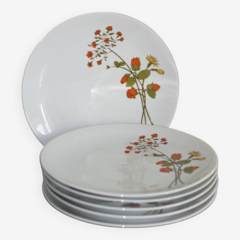 6 vintage porcelain plates with Bavaria flowers