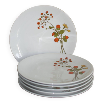 6 vintage porcelain plates with Bavaria flowers