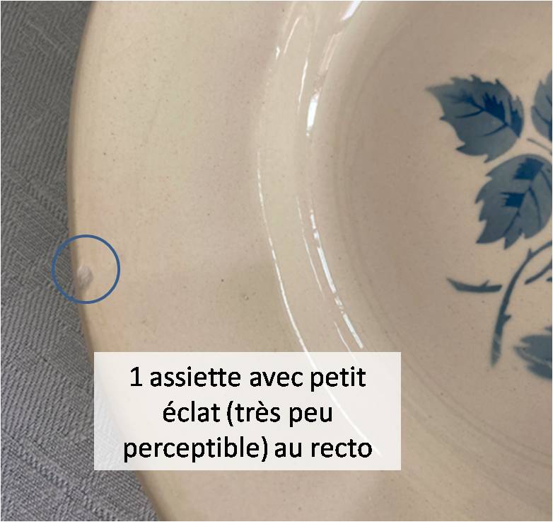 Set of 9 hollow plates Blue Roses Digoin Sarreguemines