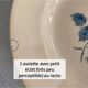 Set of 9 hollow plates Blue Roses Digoin Sarreguemines