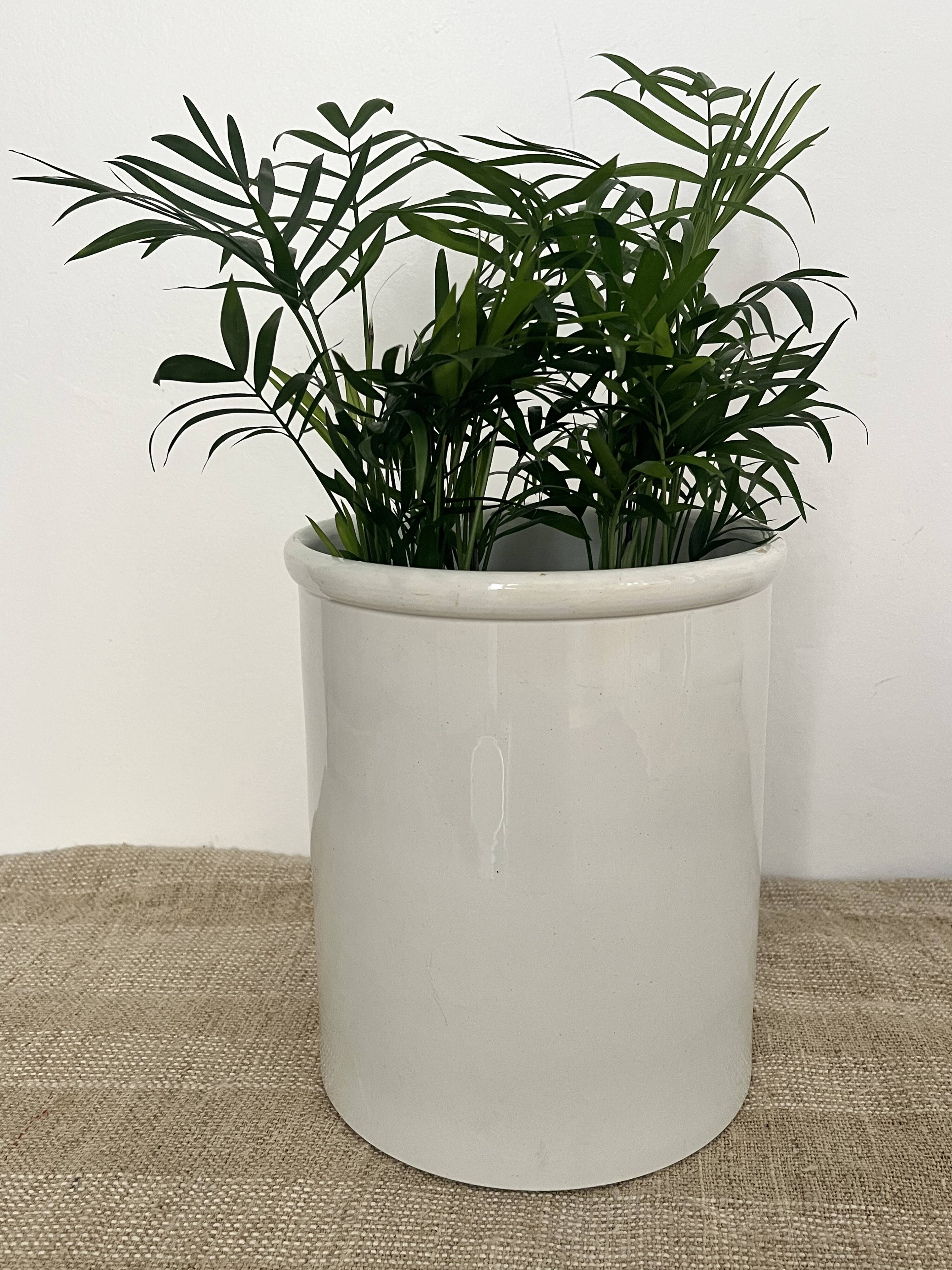 Cylindrical white earthenware pot - Creil and Montereau