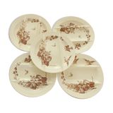 Luneville asparagus service