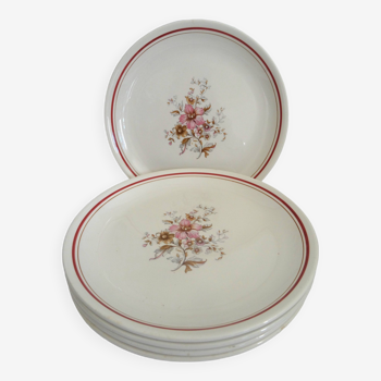 5 assiettes plates moulin des loups