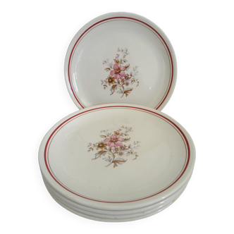 5 assiettes plates moulin des loups