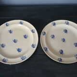 Suite of 6 flat plates