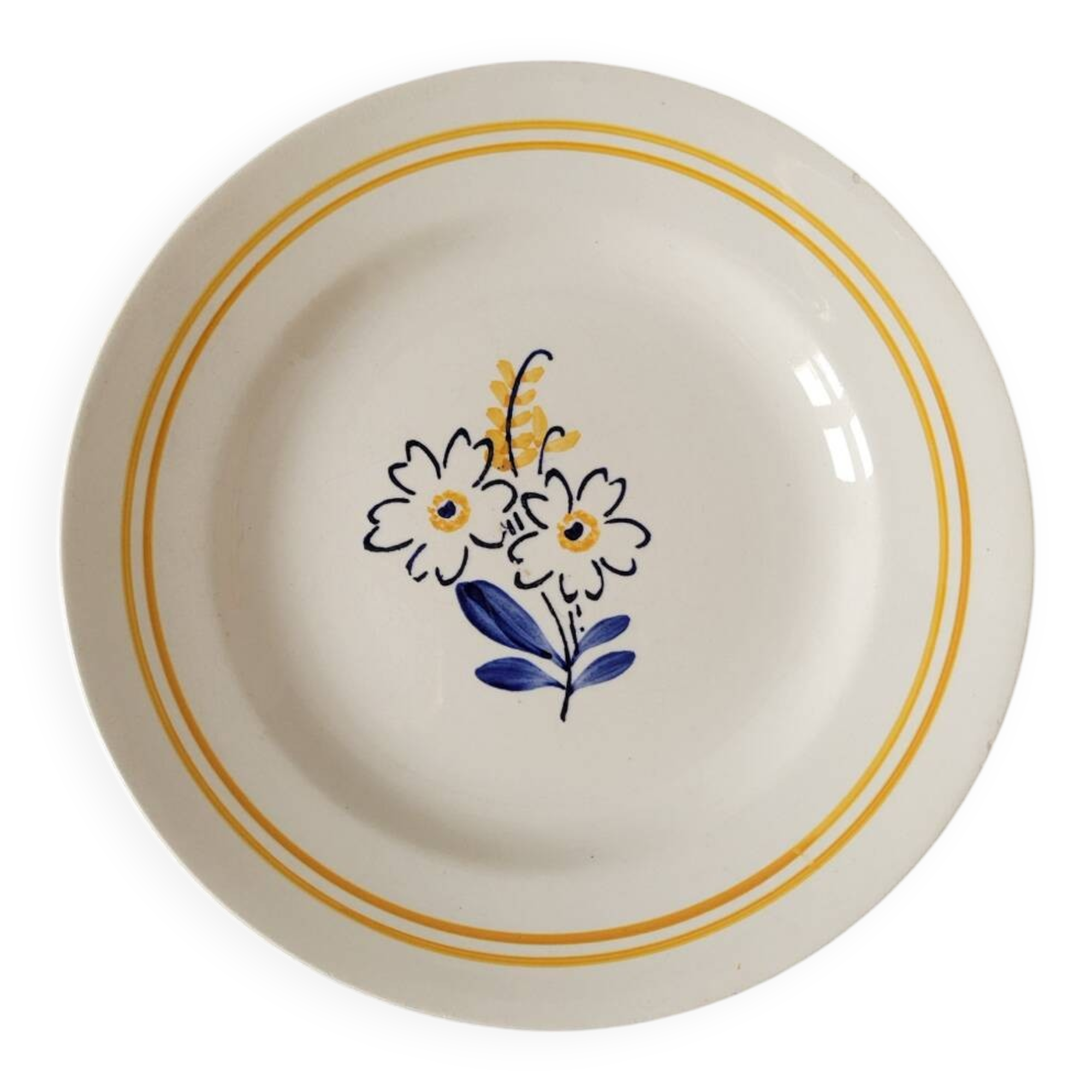 6 floral dinner plates
