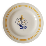6 floral dinner plates