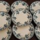 Lot 12 Flat Plates Iron Land Choisy the King Roses Blue Boulenger