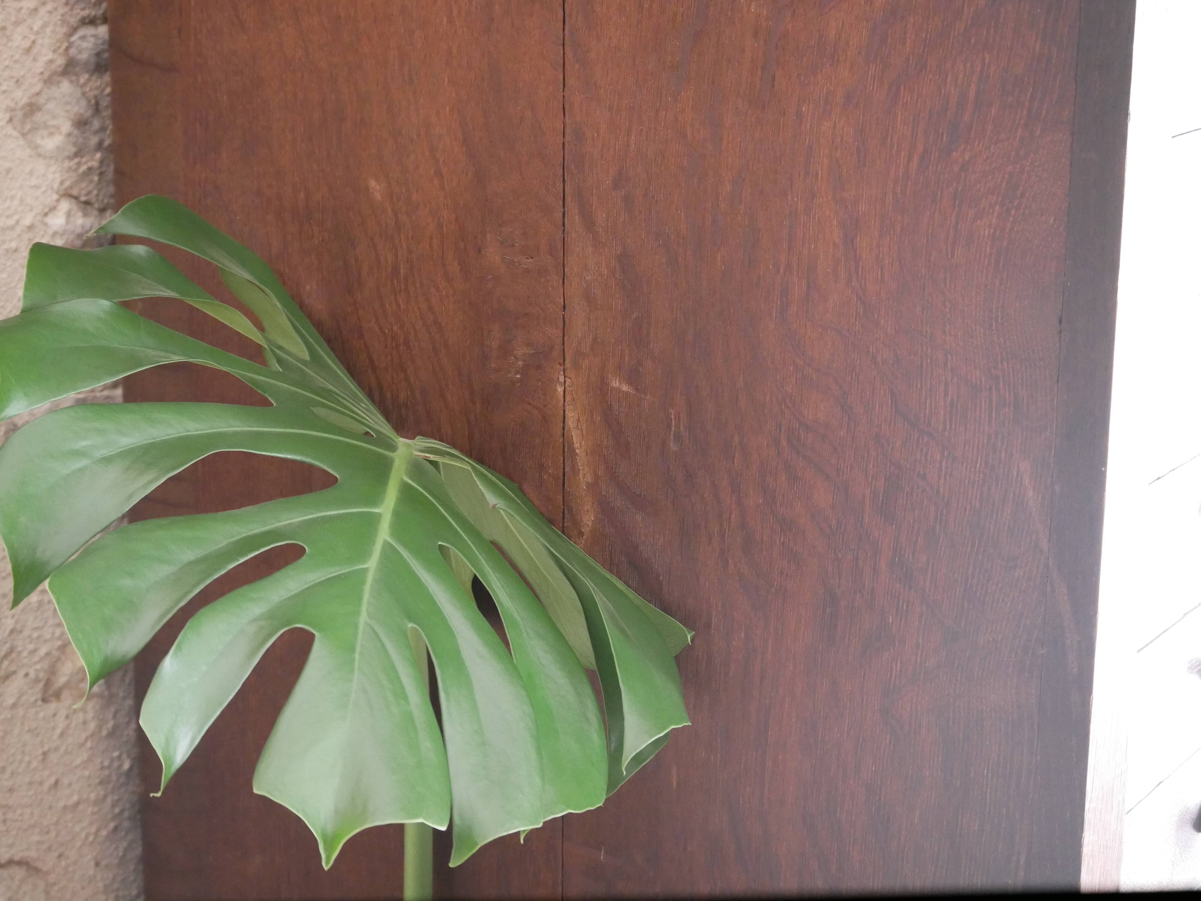 Furniture of trade type printer