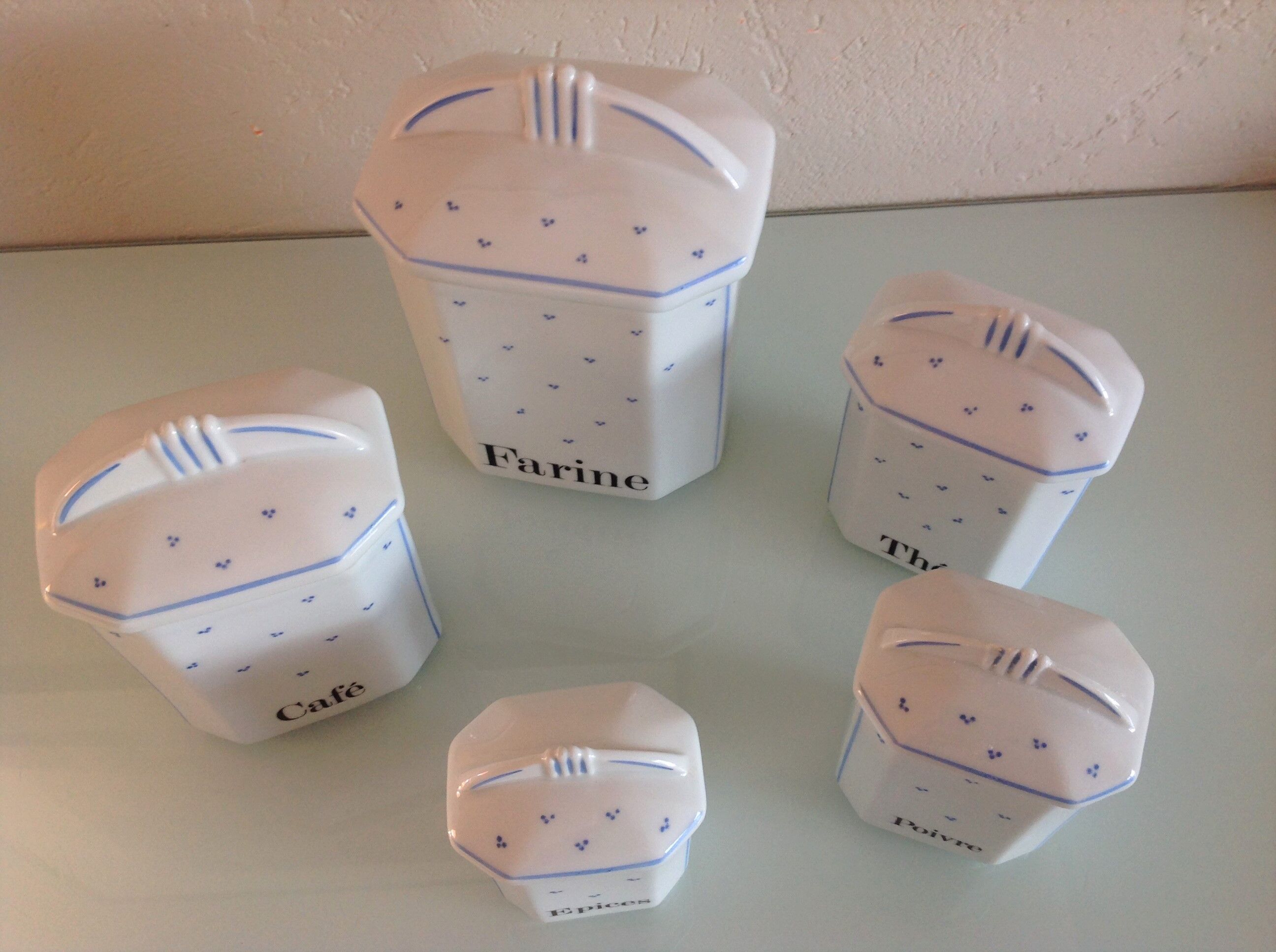 Suite of five Apilco porcelain spice jars / vintage 70s
