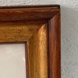 Frame engravings-Theme birds