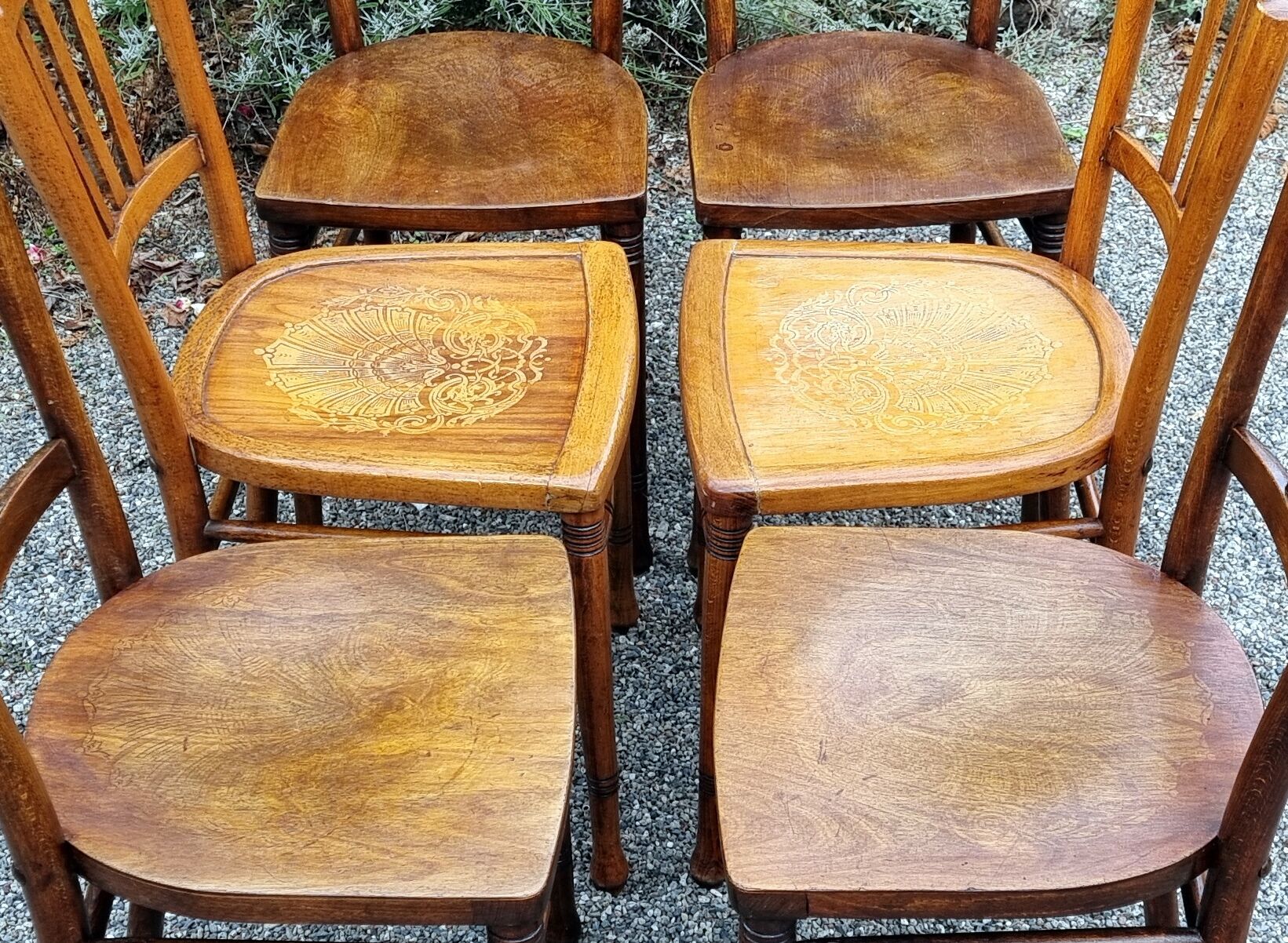 6 chairs bistrot companion 30/40s