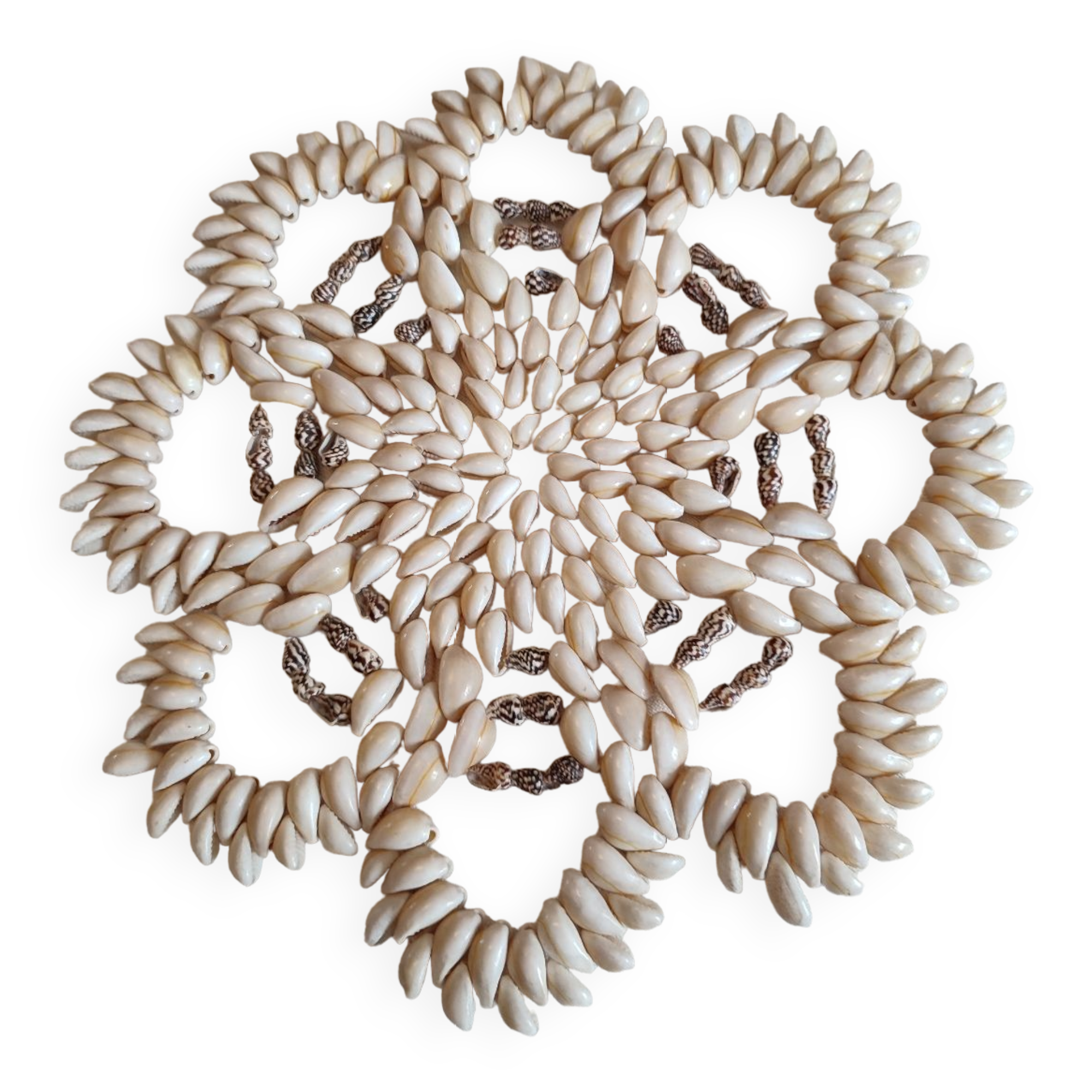 Seashell trivets