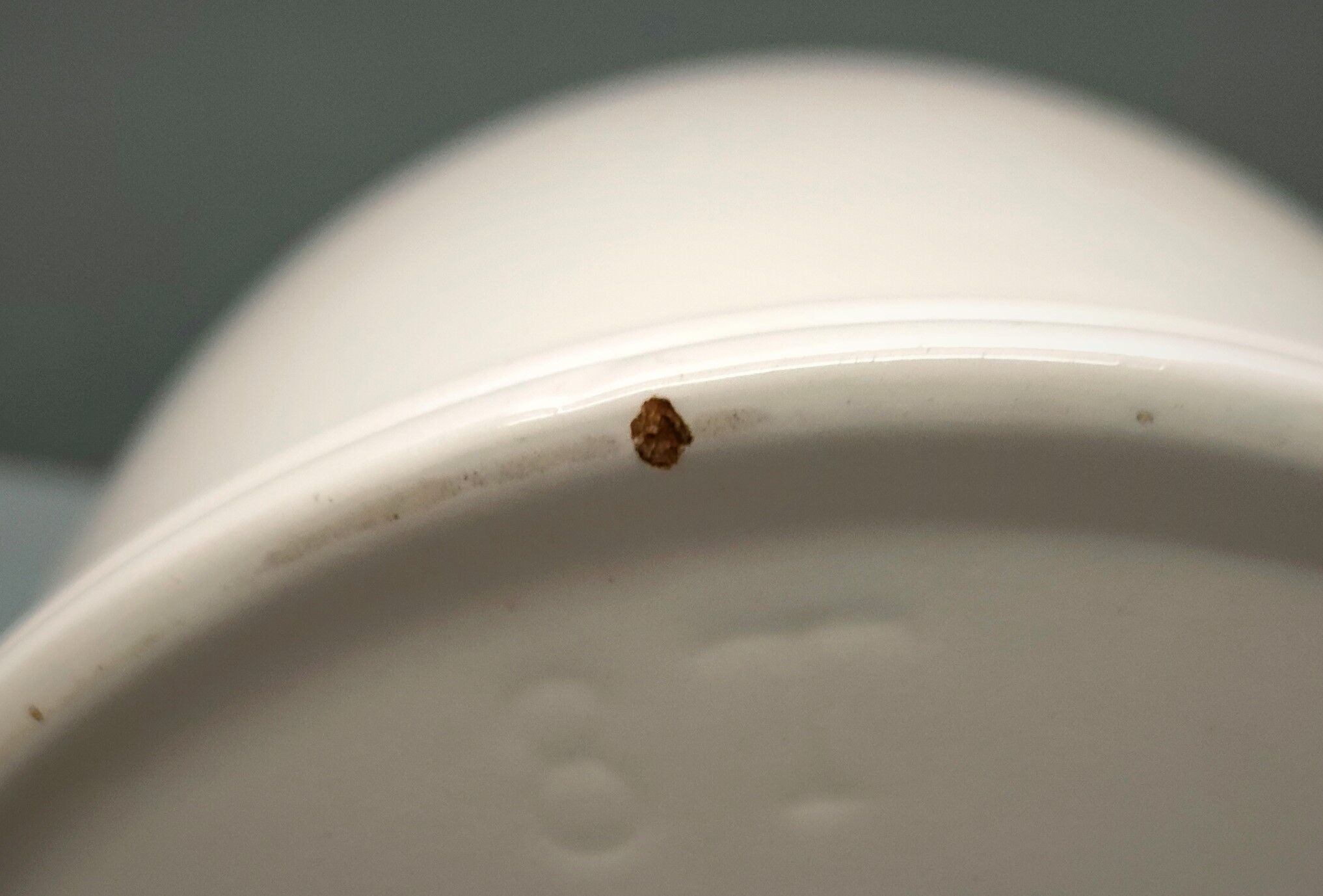 Old teapot Salam tea Villeroy & Boch porcelain and metal ~ 50s