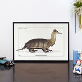 Set of 3 chimeras lithography animal engraving
