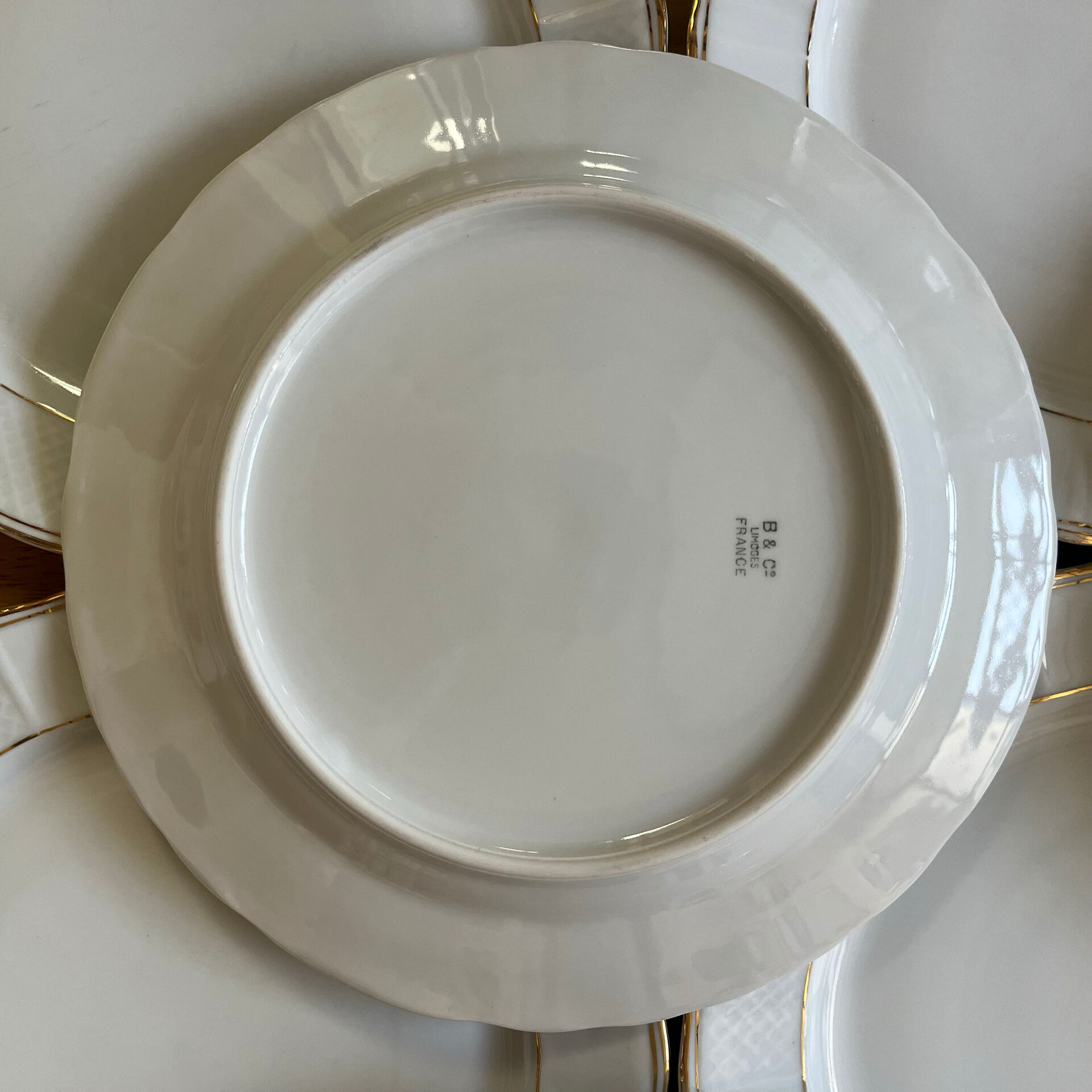12 flat plates porcelain from Limoges Bernardaud