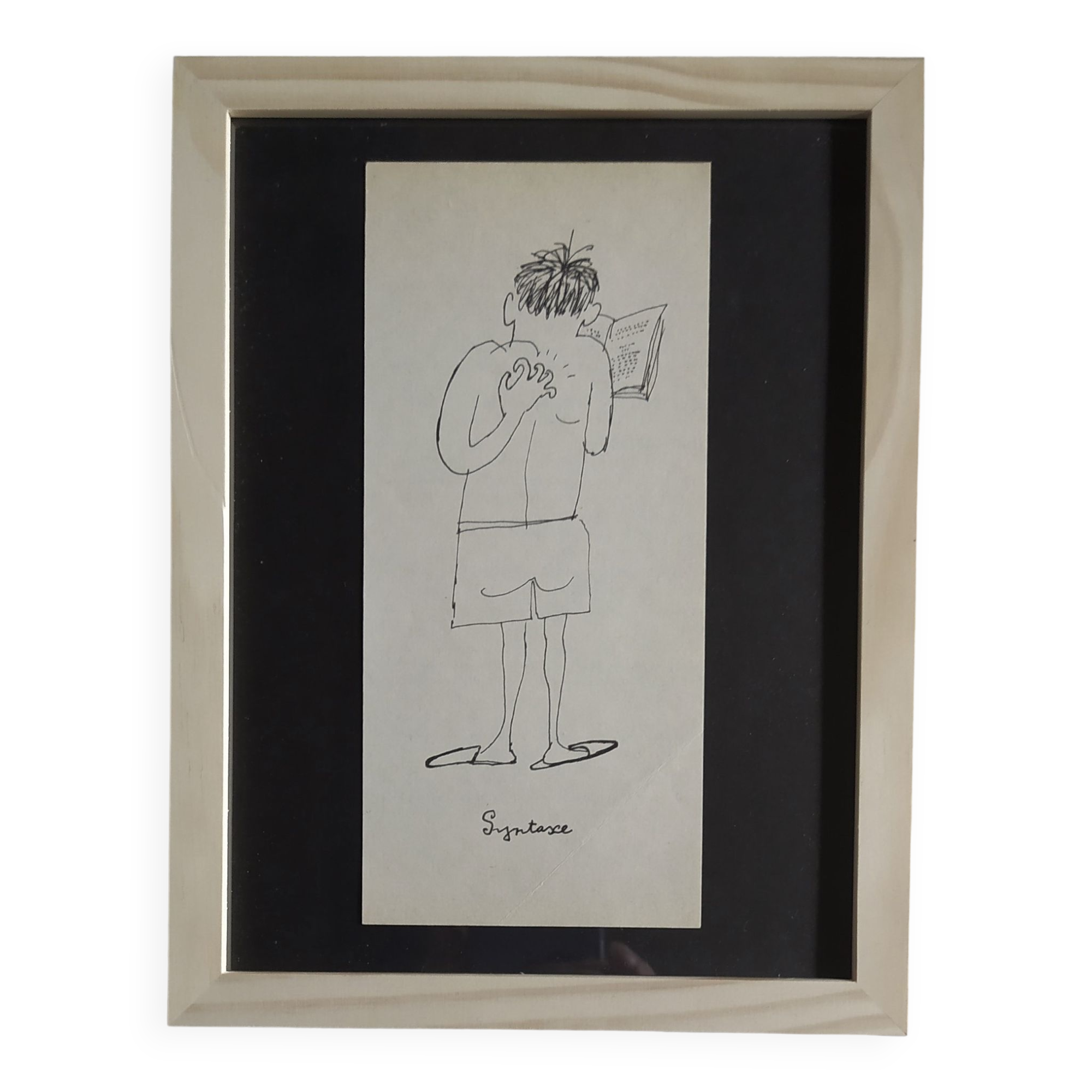 Illustration daninos "syntax "