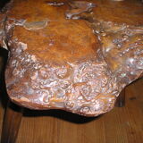 Tripod coffee table in elm burl
