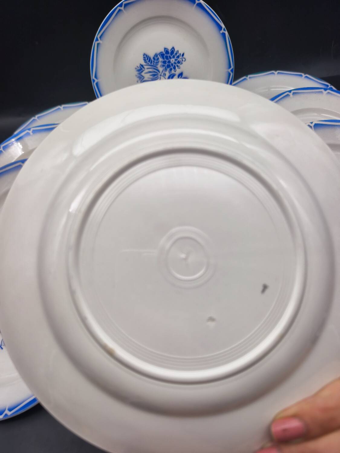 12 Canebière dinner plates