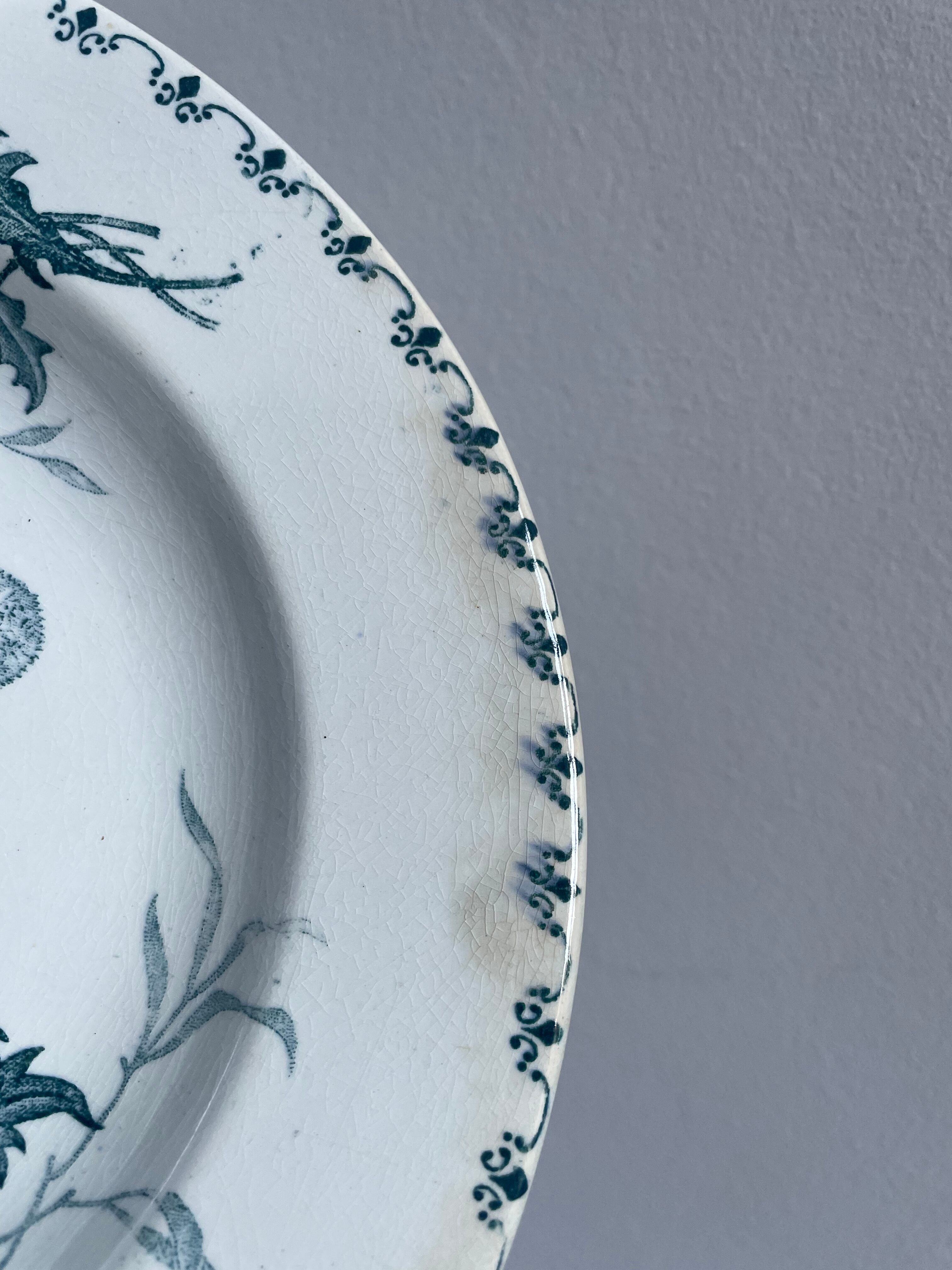 Set of 10 hollow plates Terre de Fer XIXth, model Madrid