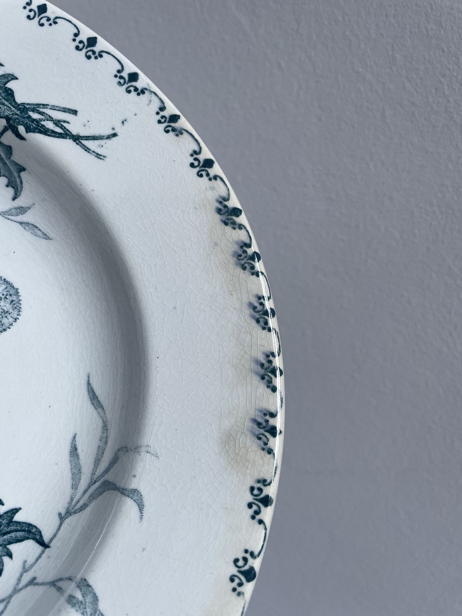 Set of 10 hollow plates Terre de Fer XIXth, model Madrid