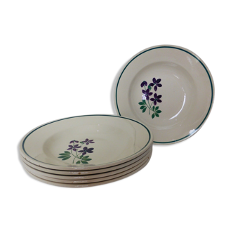 Set of 6 vintage hollow plates the porcelain violet