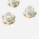 3 tulipes 5 pétales verre satiné anciennes