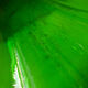 Dame-jeanne canister 54 L green glass 70s