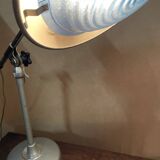 Lampe indus L. F. Solere