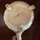 Antique ceramic flower vase