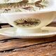Large fish platter with its sauce boat, annecy model, vintage gien.