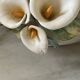 Pair of bedside lamps, vintage floral ceramic by Nazareno Picciotti, Deruta Italie